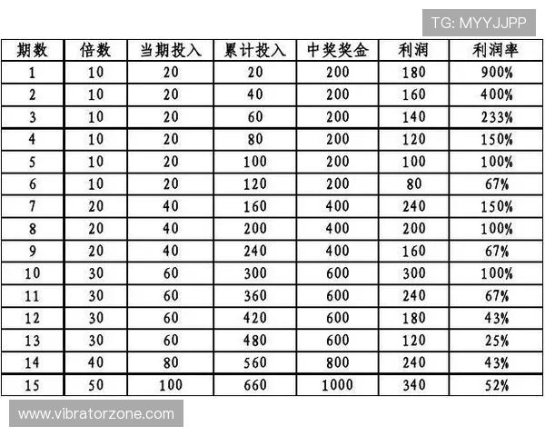 掌握买球1×2的投注技巧与实战经验提升投注成功率实现长期稳定盈利的实用指南